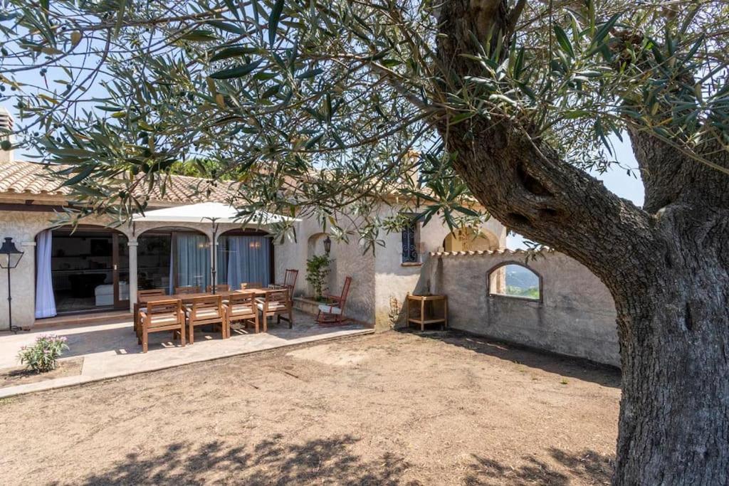 Villa Ventisca Platja d'Aro Eksteriør billede